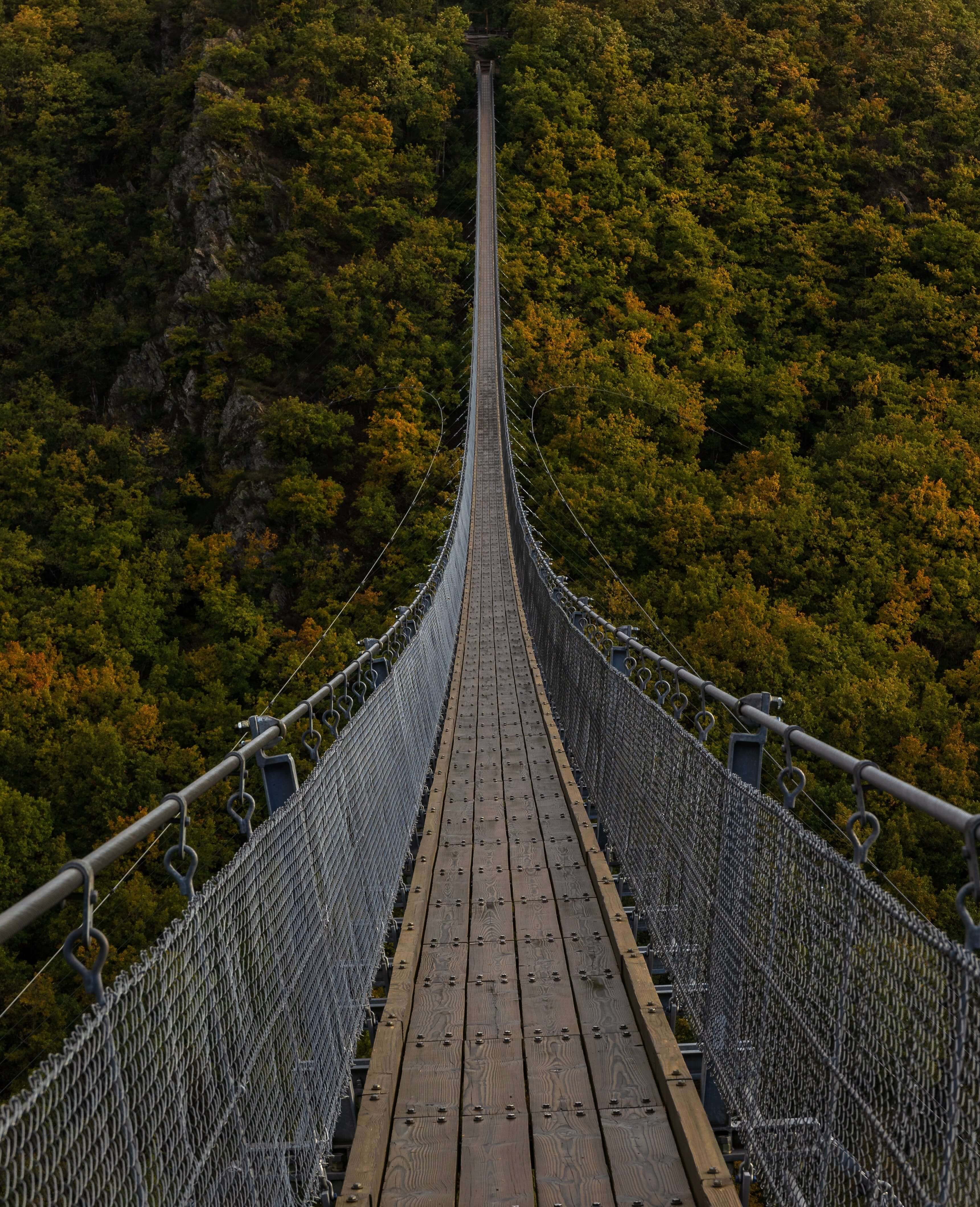 A long bridge over a forest